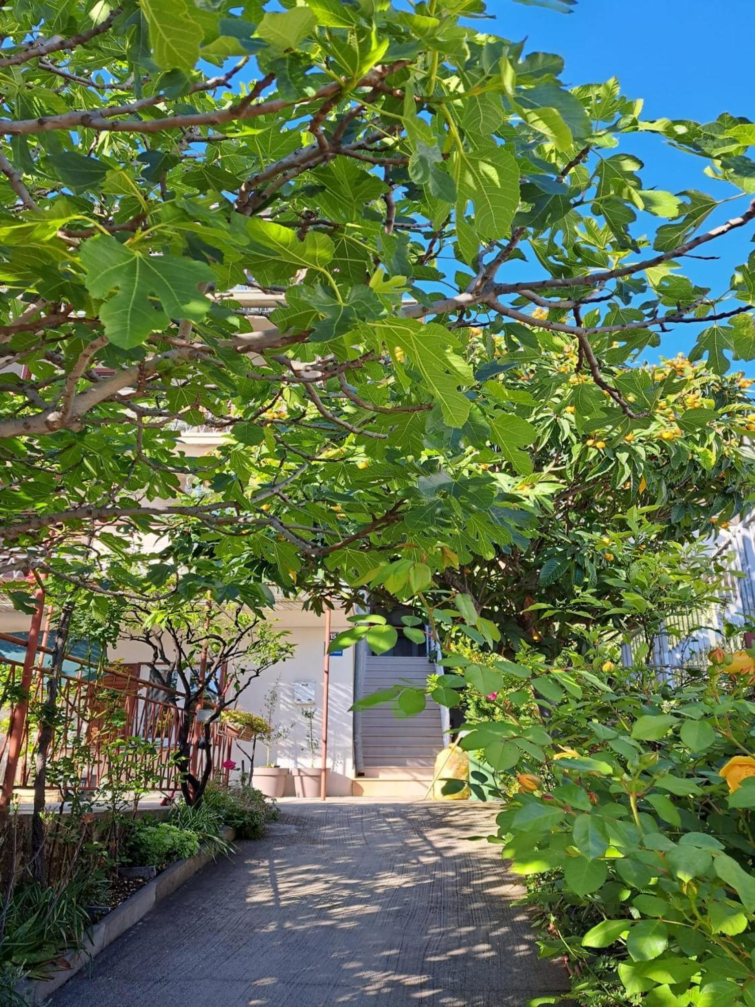 Apartman Adriatic Pavlinovic - Μακάρσκα Εξωτερικό φωτογραφία