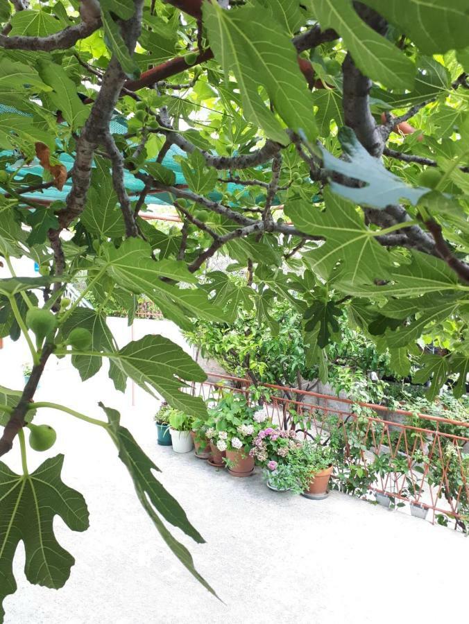 Apartman Adriatic Pavlinovic - Μακάρσκα Εξωτερικό φωτογραφία